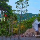 진도 카멜리아 힐즈 오토캠핑장 이미지