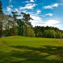 나인 스크린골프 클럽 이미지