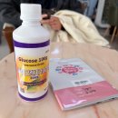 사또옛날통닭임당점 | 임신 중기 일상 & 먹었던 음식들 #5 | 내가 임당이라니..? 공포의 임당재검🙀