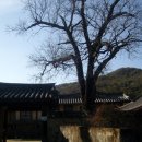 송홍래 이미지