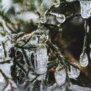 맑은한의원 이미지