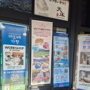 퍼스트가든 동물카페 | 가평 실내아이랑갈만한곳, 가평 동물먹이주기 아쿠아가든 카페 후기