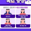 요즘 독감 증상 A형독감 B형독감 차이 유행시기 이미지