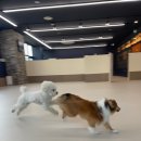 똑독트레이닝스쿨 이미지