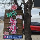 희수농장 이미지