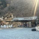 청수민박 | "마산 청수굴구이" 구산면 장작 굴구이 맛집 직접 가본 솔직 리뷰!