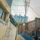 둥지1공인중개사사무소 이미지