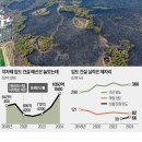진화 이미지