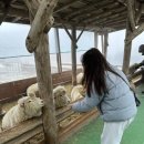 매정목장 이미지