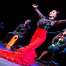 퓨전 플라멩코 옴팡 이미지