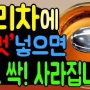 보리차에 '이것'넣으면 당뇨싹! 사라집니다 이미지