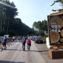 숲향기 목공방 이미지