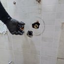 중앙동143 이미지