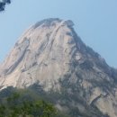 비둘기길 이미지