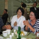 고성중학교 - 진도군 | 고성중학교