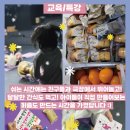 영종마을학교협동조합 | [공지] 초등학생 겨울방학 인기 원데이 장구 민요 특강, 장구랑소리랑