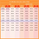 아이비에스 (IBS) 이미지