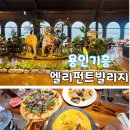 용인 기흥구 엘리펀트빌리지, 공휴일 오픈런 방문후기