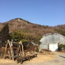 다화림 | "다화림 식물원" 방문 이야기
