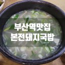 아빠돼지엄마돼지다되지 이미지