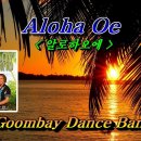 ALOHA 이미지