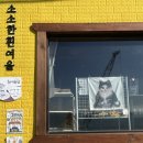 레이지캣(lazycat) 이미지