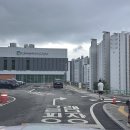 ⛺ 월산근린공원야영장 이용후기 / 광주 남구 글램핑장