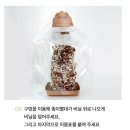 주식회사 메이크힐 | 너의 정체를 얼른 버섯!! <무럭무럭 표고버섯 키트>