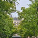 경주 숙소 : 경주 힐튼 호텔, 디럭스 패밀리룸 수영장 헬스장 리얼 후기