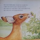 자연동화 이미지