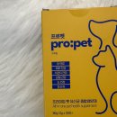 프로펫 | [강아지영양제 추천] 노견영양제 추천 ㅣ 프로펫 올인원 영양제 급여후기