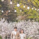 스튜디오설렘 이미지