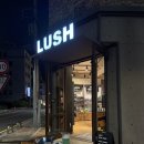 방구석테라피 | 러쉬 스파 '프레쉬 페이셜' 후기 (부제: 망한.. 코스 리뉴얼)