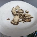 세신한의원 이미지