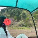 김유정로 R 네이버블로그