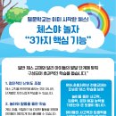 체스야 놀자 네이버블로그