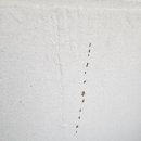 도봉로5길 이미지