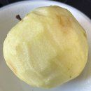 정말로당구장 | [공지] 가장 눈부시던 우리의 2026年 1月