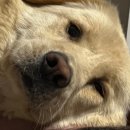 대병가스 이미지