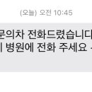 도그플러스 이미지