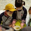 대청유치원 이미지