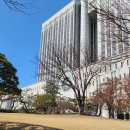 서울고등법원 | 서울고등법원 방청 후기 (신청방법, 재판장찾기, 느낀점 공유)