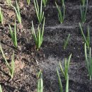 농민유통 이미지