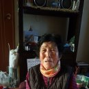 세진베이커리 이미지