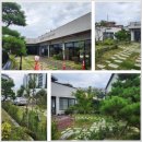 시오리막국수 | 김해 맛집 시오리 막국수 봉황점 메뉴,주차,같이둘러볼만곳 찐후기