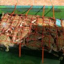 복음횟집 이미지