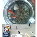 대신익스프레스 이미지