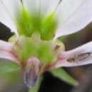 광덕4리 이미지