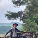 종댕이길 이미지
