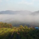 석산농원